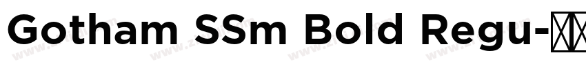 Gotham SSm Bold Regu字体转换
